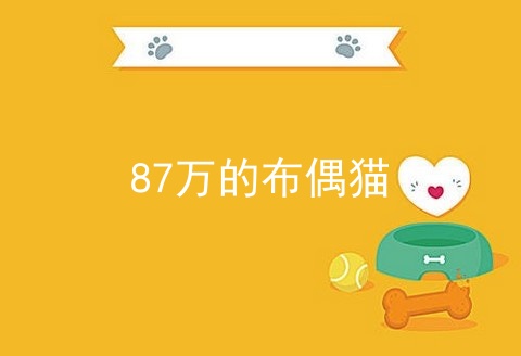 87万的布偶猫