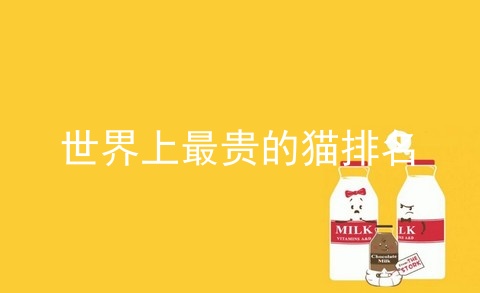 世界上最贵的猫排名