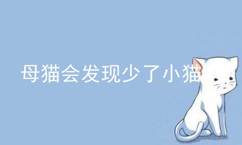 母猫会发现少了小猫吗