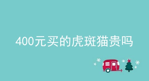 400元买的虎斑猫贵吗
