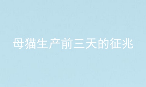 母猫生产前三天的征兆