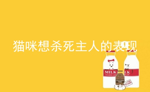 猫咪想杀死主人的表现