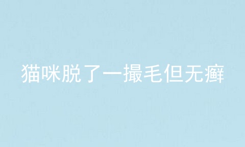 猫咪脱了一撮毛但无癣