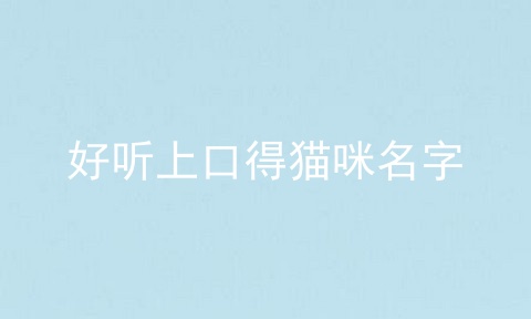 好听上口得猫咪名字