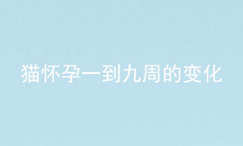 猫怀孕一到九周的变化