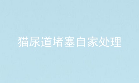 猫尿道堵塞自家处理