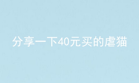 分享一下40元买的虐猫