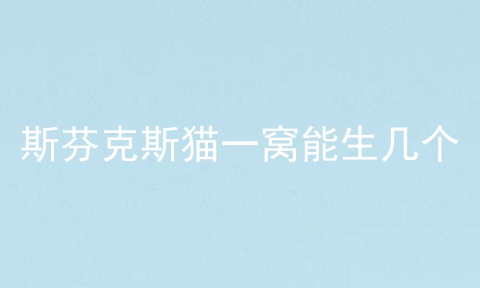 斯芬克斯猫一窝能生几个