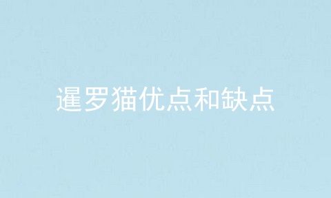 暹罗猫优点和缺点