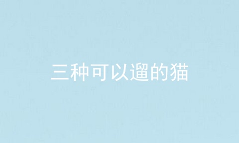 三种可以遛的猫