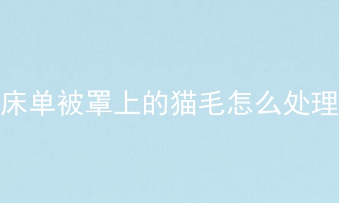 床单被罩上的猫毛怎么处理