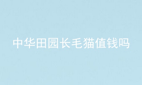 中华田园长毛猫值钱吗
