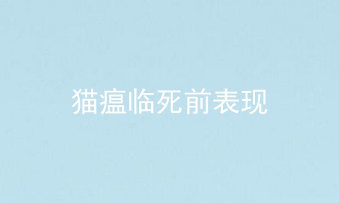 猫瘟临死前表现