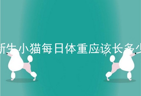 新生小猫每日体重应该长多少