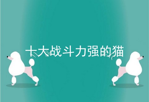 十大战斗力强的猫