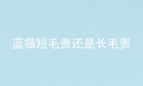 蓝猫短毛贵还是长毛贵