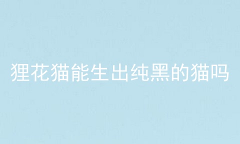 狸花猫能生出纯黑的猫吗