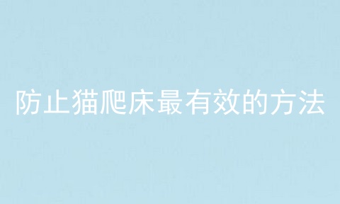 防止猫爬床最有效的方法