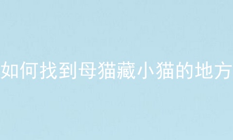 如何找到母猫藏小猫的地方