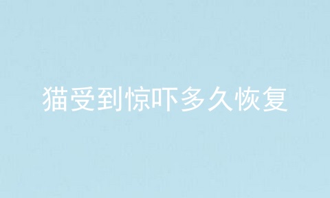 猫受到惊吓多久恢复