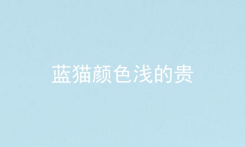 蓝猫颜色浅的贵