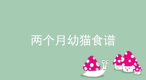 两个月幼猫食谱