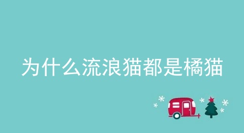 为什么流浪猫都是橘猫