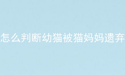 怎么判断幼猫被猫妈妈遗弃