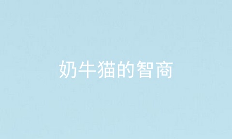 奶牛猫的智商
