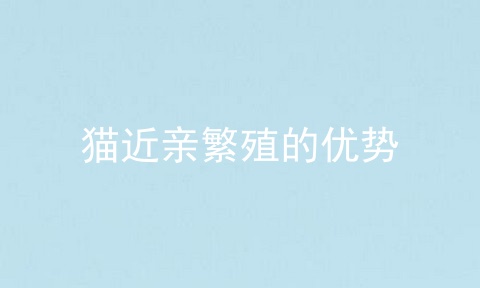 猫近亲繁殖的优势
