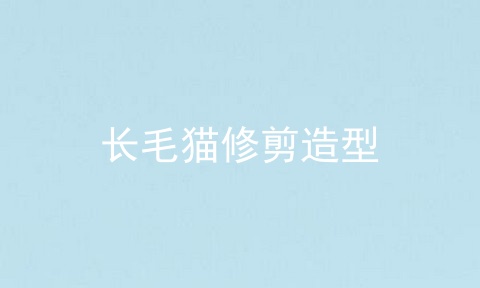 长毛猫修剪造型
