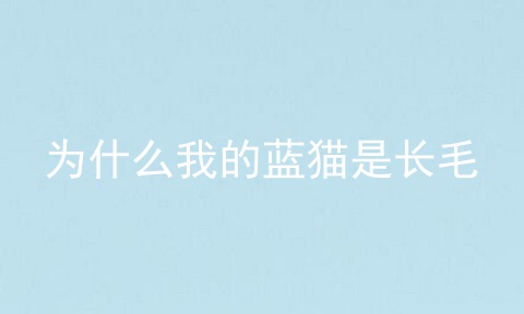 为什么我的蓝猫是长毛