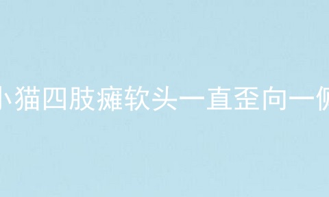 小猫四肢瘫软头一直歪向一侧