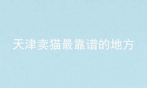 天津卖猫最靠谱的地方