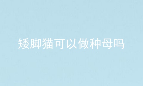 矮脚猫可以做种母吗