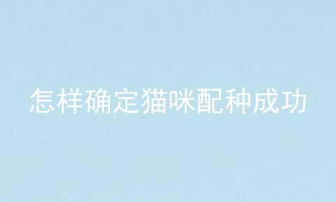 怎样确定猫咪配种成功