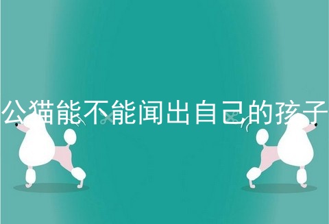 公猫能不能闻出自己的孩子