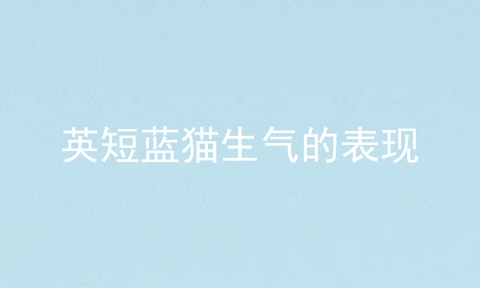 <a href=/cat/13.html target=_blank class=infotextkey>英短</a>蓝猫生气的表现