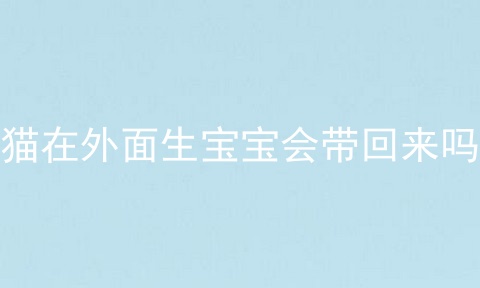 猫在外面生宝宝会带回来吗