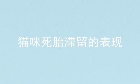 猫咪死胎滞留的表现