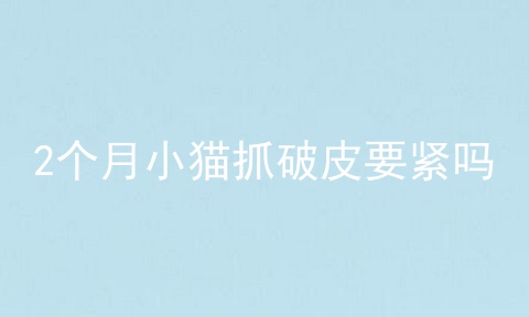 2个月小猫抓破皮要紧吗