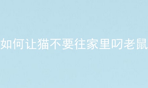 如何让猫不要往家里叼老鼠