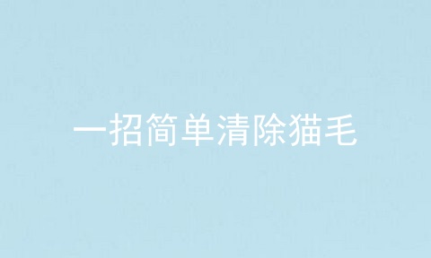 一招简单清除猫毛