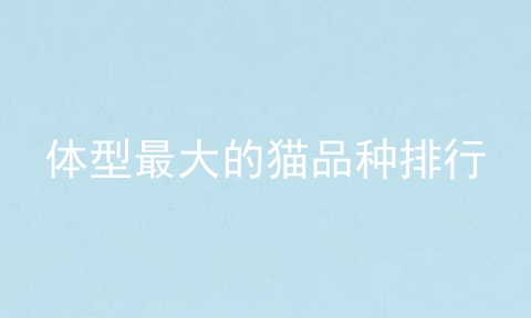 体型最大的猫品种排行