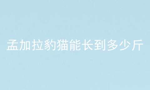 孟加拉豹猫能长到多少斤