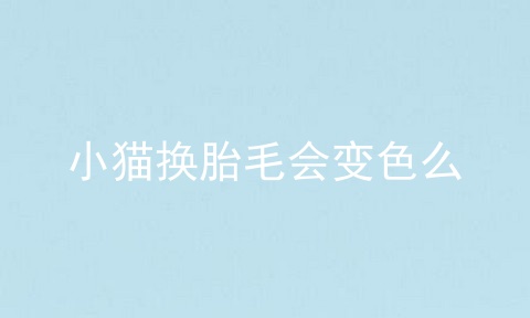 小猫换胎毛会变色么