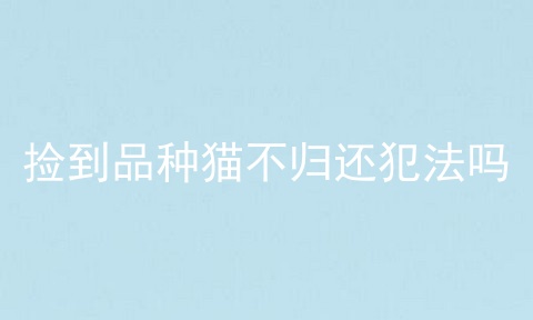捡到品种猫不归还犯法吗