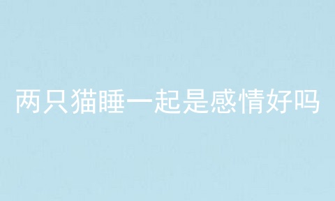两只猫睡一起是感情好吗