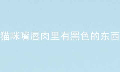 猫咪嘴唇肉里有黑色的东西