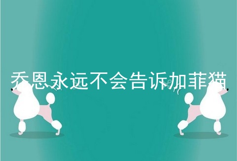 乔恩永远不会告诉加菲猫